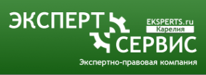 Логотип компании Эксперт-Сервис