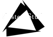 Логотип компании MASTER STUDIO SALON