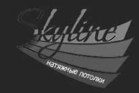 Логотип компании Скайлайн