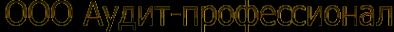 Логотип компании Аудит-профессионал