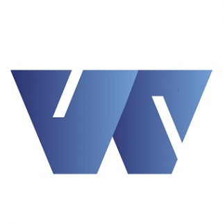 Логотип компании VEBSTONE