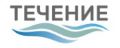 Логотип компании Течение в Петрозаводске